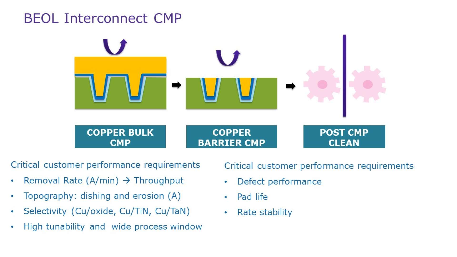 BEOL Interconnect CMP