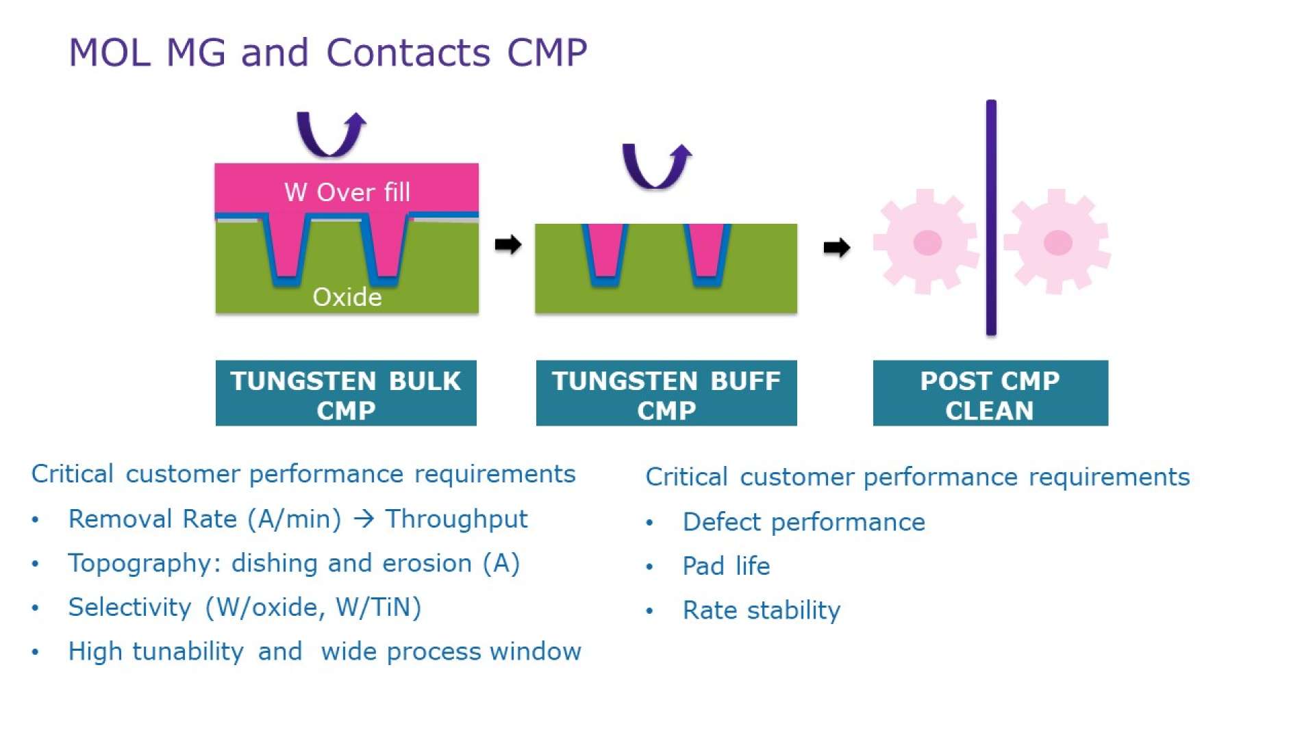 MOL MG and Contacts CMP